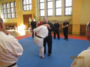 IMG_0031